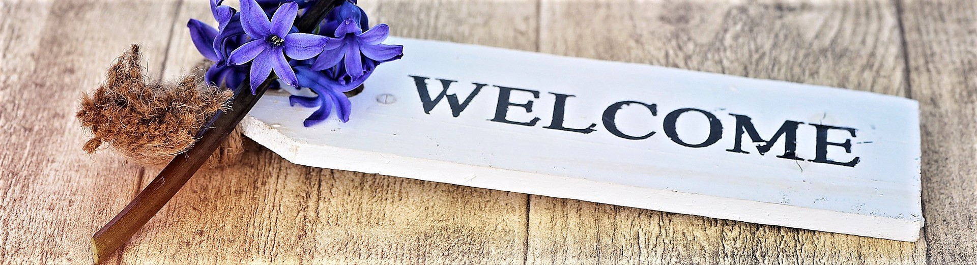 Welcome South Coast Conferences